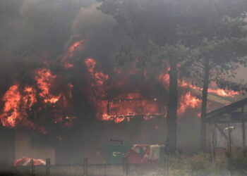 Más de 120 muertos en los incendios forestales de Chile