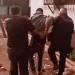 Tres hombres se escondieron de la policía en cajas de un depósito comercial