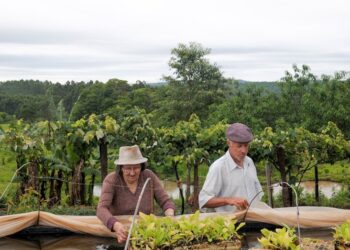 El Gobierno cerrará el Instituto de Agricultura Familiar