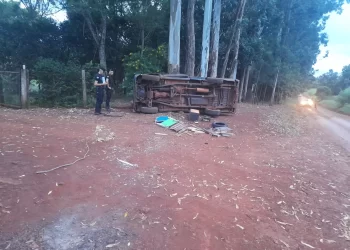 Dos menores perdieron la vida tras un despiste en Andresito