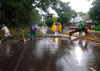 El Municipio activó un operativo de emergencia luego del temporal