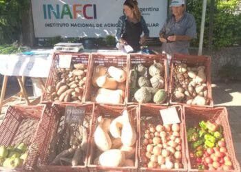 «Feriazo» en Corrientes en reclamo por el cierre del Instituto Nacional de Agricultura Familiar
