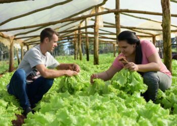 El gen de la revolución agroecológica