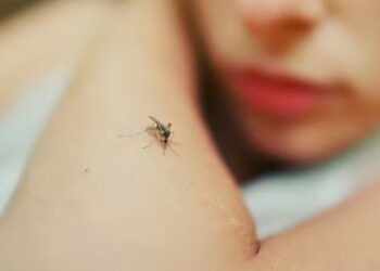 Reportan tres casos de leishmaniasis en humanos en Acahay, Paraguay