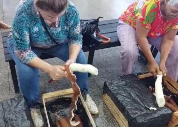 Concurso de pelado de mandioca en el Mercado Concentrador