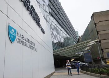 Un riñón de cerdo modificado genéticamente fue trasplantado con éxito en una persona viva