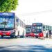 Chaco: habrá servicio de colectivos de forma habitual hasta abril