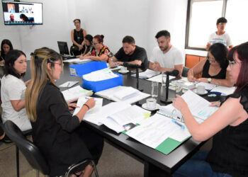Salud de Formosa analiza proyectos referidos a la endometriosis