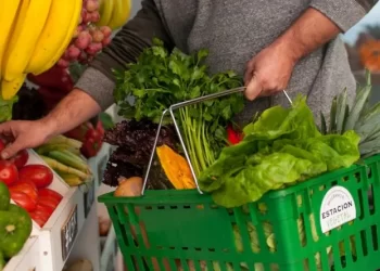 Una familia chaqueña necesita más de 570 mil pesos para no ser pobre