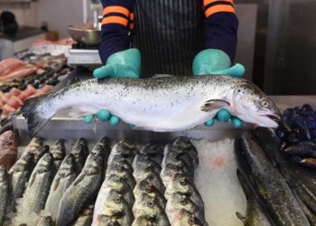 Inspección de comercios y recomendaciones para la compra de pescado en Semana Santa