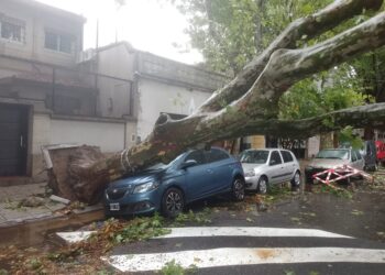 Sigue el temporal en AMBA