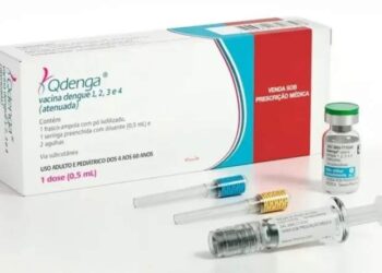 Dengue: Corrientes negocia la compra de 200.000 vacunas