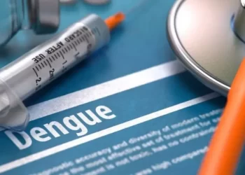 El Gobierno descarta campaña de vacunación contra el dengue