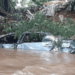 Dos muertos por fuertes lluvias en Paraguay