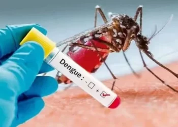 Misiones intensifica tareas para combatir el dengue