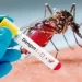 Misiones intensifica tareas para combatir el dengue