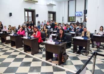 El Concejo Deliberante habilitó las plataformas digitales para transporte privado