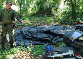 Desarmaron campamentos de cazadores furtivos y destruyeron trampas