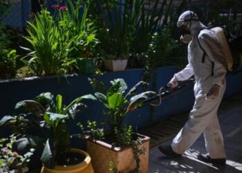 Brasil superó el récord histórico de muertes por dengue en un año