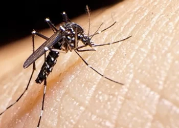 En la última semana Entre Ríos registró 2.072 nuevos casos de dengue