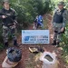 Secuestraron 21 kilos de flores de marihuana en Corpus