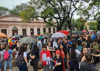 Un grito colectivo por la educación pública universitaria