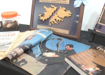 Día del Veterano y de los Caídos en la Guerra de Malvinas