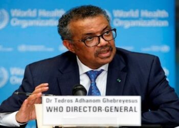 OMS advierte expansión de gripe aviar por el cambio climático