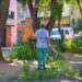 Capacitarán a podadores urbanos artesanales