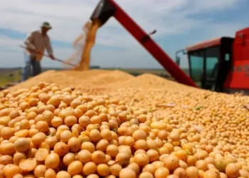 El campo le exige al Gobierno mayor «certidumbre» y que se eliminen las retenciones