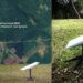 Misiones se conecta con las estrellas