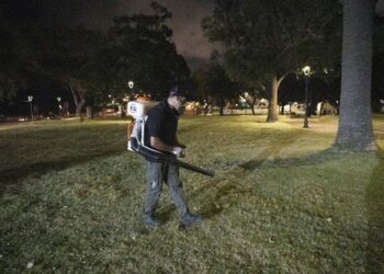 Uruguay atraviesa un récord de pacientes graves por dengue pero descarta la vacunación