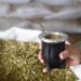 El gobierno de Misiones en defensa de los productores de yerba mate