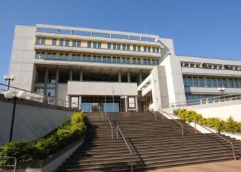 Habilitaron línea telefónica para denunciar abuso sexual infantil
