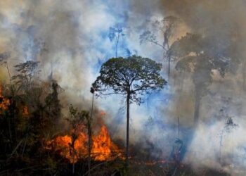 Brasil registra cifra récord de incendios forestales