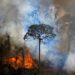 Brasil registra cifra récord de incendios forestales