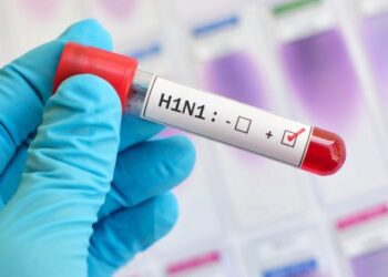 Chile en alerta máxima por una ola de influenza tipo A