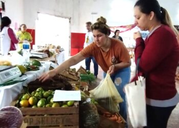 Concejalas vendieron alimentos saludables en el Alimentazo
