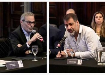 Nación y provincia, juntas contra el dengue