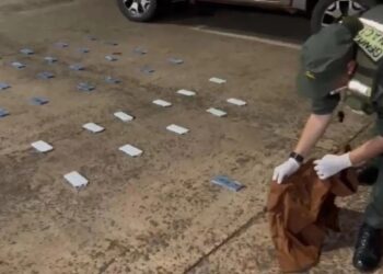 Secuestran setenta celulares que una mujer llevaba ocultos en un micro