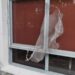 Funcionario anunció despidos en el INTI y se escapó por la ventana