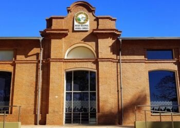 Los museos frente a la tensión latente en un contexto de neoliberalismo