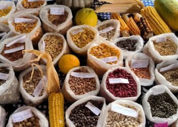 Feria zonal de semillas, el 13 de junio en Gobernador Roca