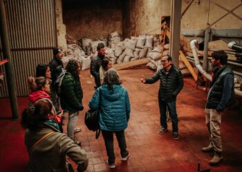 Misiones impulsa el fortalecimiento de establecimientos tealeros