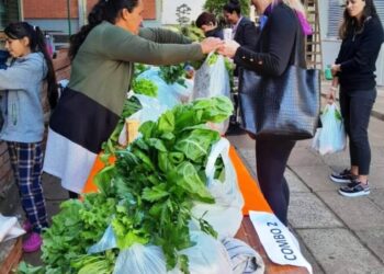Las chacras agroecológicas de Misiones producen en unas 650 hectáreas