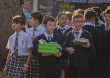 Actividades por el Día Mundial del Ambiente, en la plaza 9 de Julio