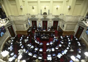 El Senado dio luz verde a la Ley Bases