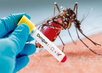 El 82 por ciento de los casos de dengue están en Brasil