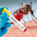 El 82 por ciento de los casos de dengue están en Brasil
