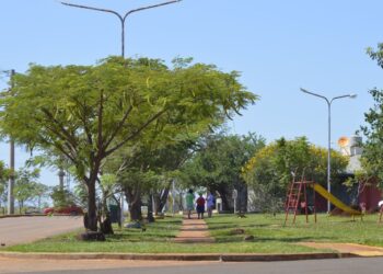 Iprodha exige autorización para plantaciones en Itaembé Guazú